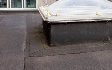 disadvantages of Winterborne Kingston flat roofs