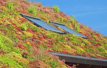 Winterborne Kingston living roof systems