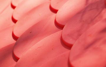 Winterborne Kingston plastic roof costs